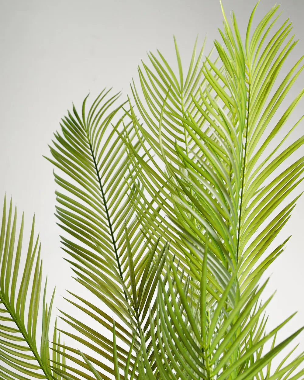 Areca Palm Artificial Plant Wasilaah UAE