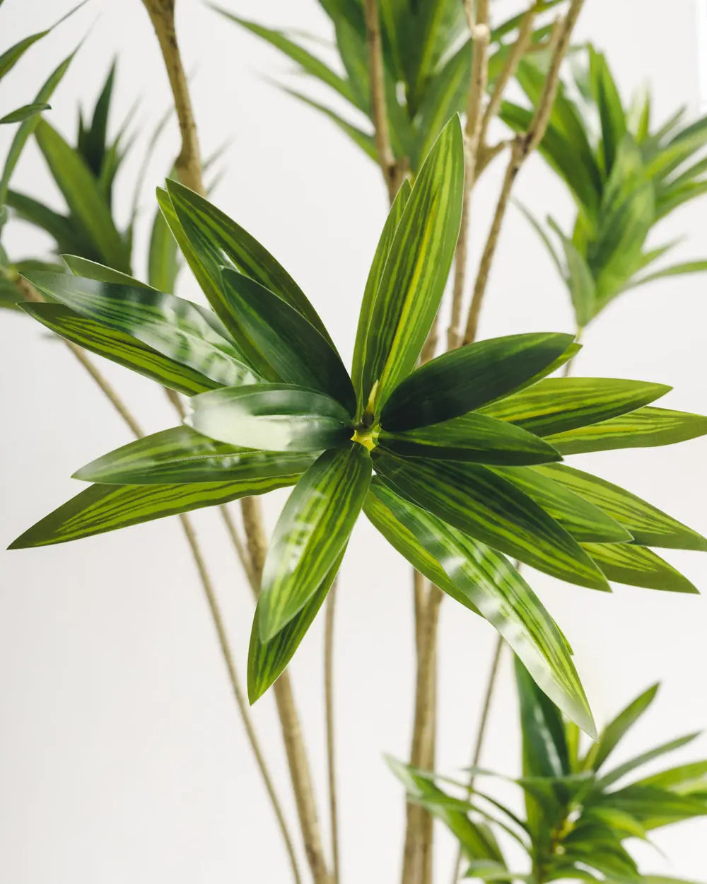 Dracaena Artificial Tree Wasilaah UAE