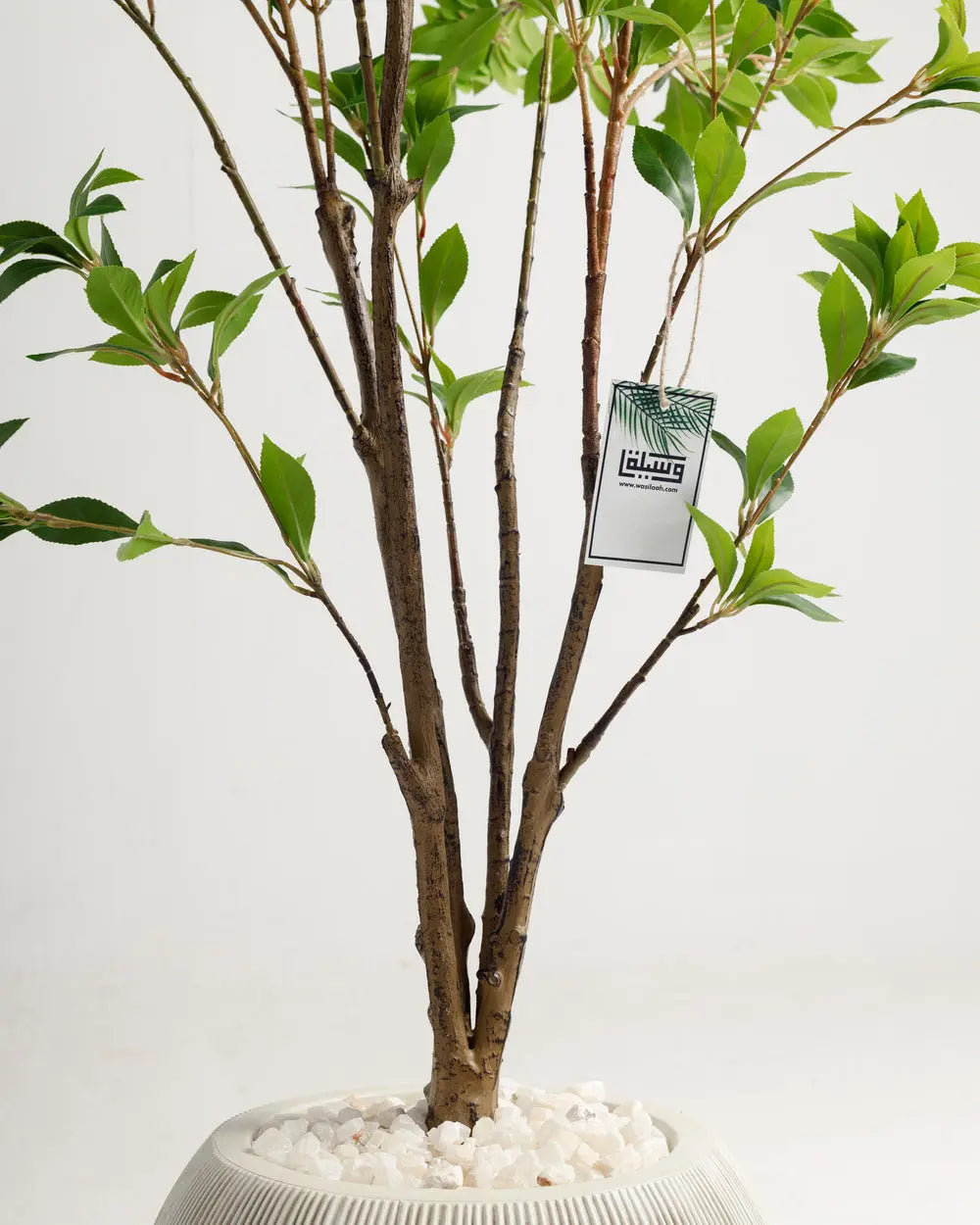 Benjamina Artificial Tree Wasilaah UAE